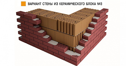 Камень керамический крупноформатный Braer 51 14,3 НФ 510х250х219  – 3